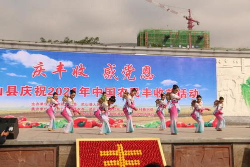 武山縣文化館組織文藝節(jié)目助興豐收節(jié)，組織文化藝術(shù)交流活動